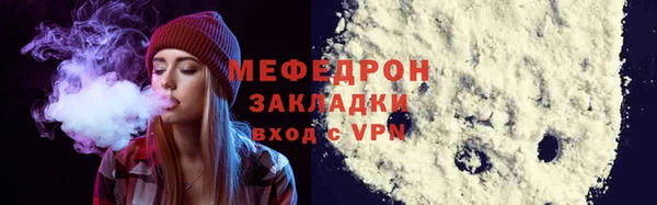 трава Ельня