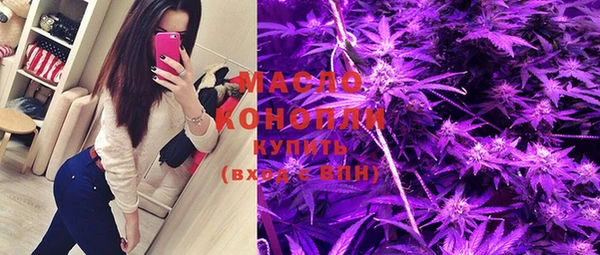 трава Ельня
