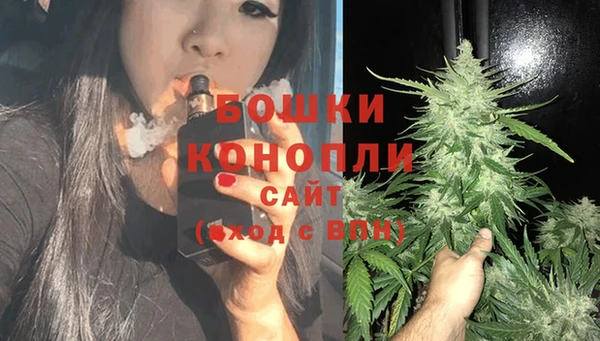 трава Ельня