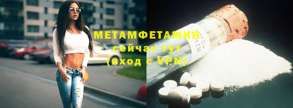 трава Ельня