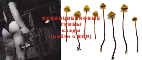 трава Ельня