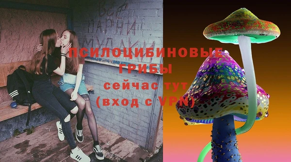 трава Ельня