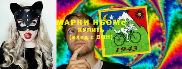 трава Ельня