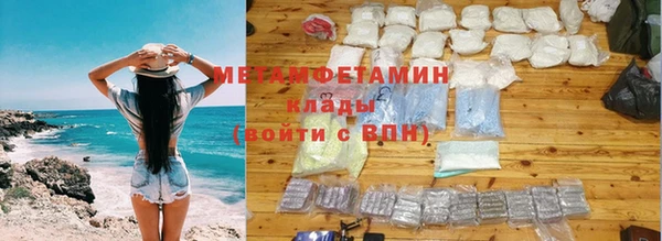 трава Ельня