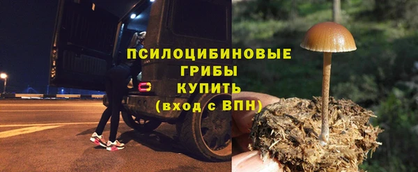 СК Елабуга