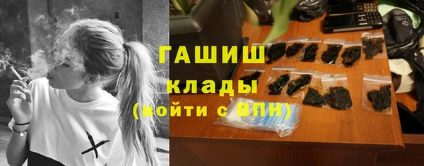 трава Ельня