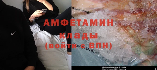 трава Ельня
