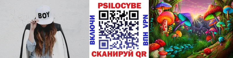 Галлюциногенные грибы Psilocybe  Свирск 